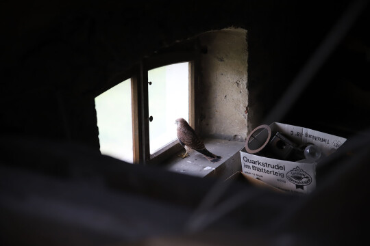 Photo thumbnail